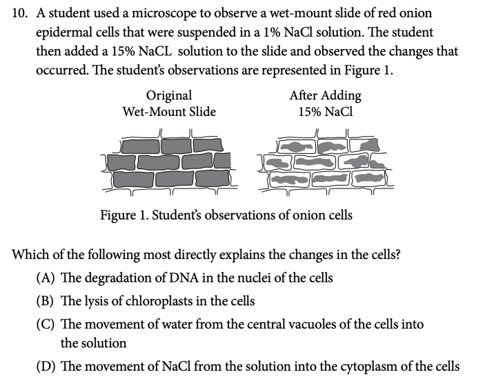 Ap bio 2020 practice exam 3 mcq answers