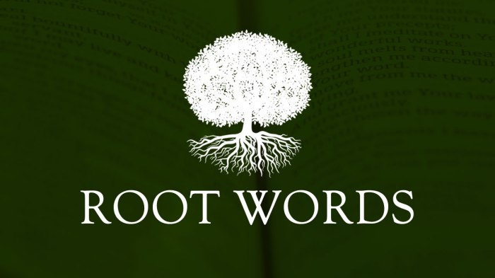 Words with the root word belli