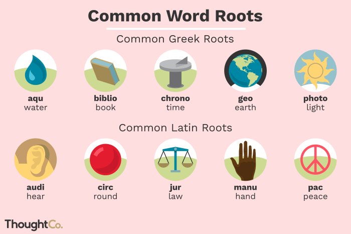 Words with the root word belli