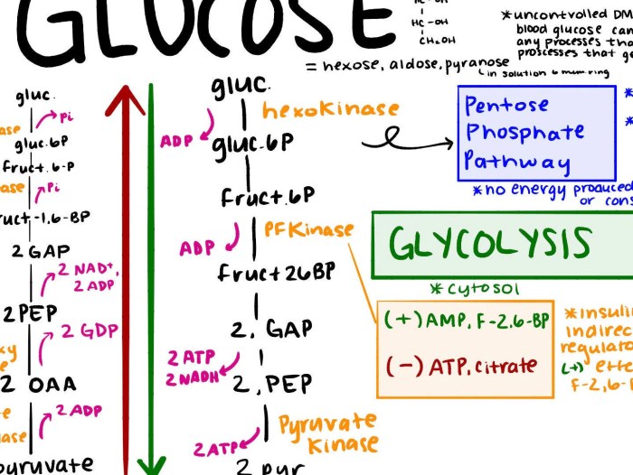 Constants to know for mcat