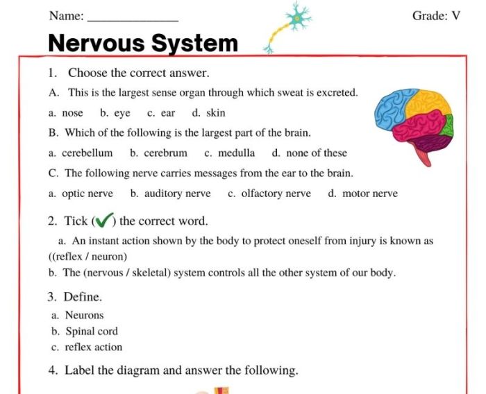 Biology chapter 11.2 worksheet answers pdf