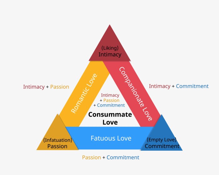 Robert sternberg five components of creativity