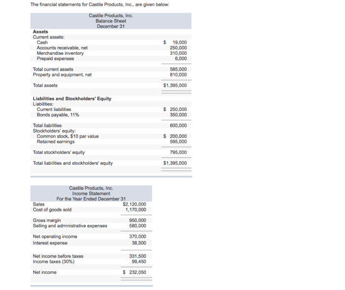 The financial statements for castile products inc are given below